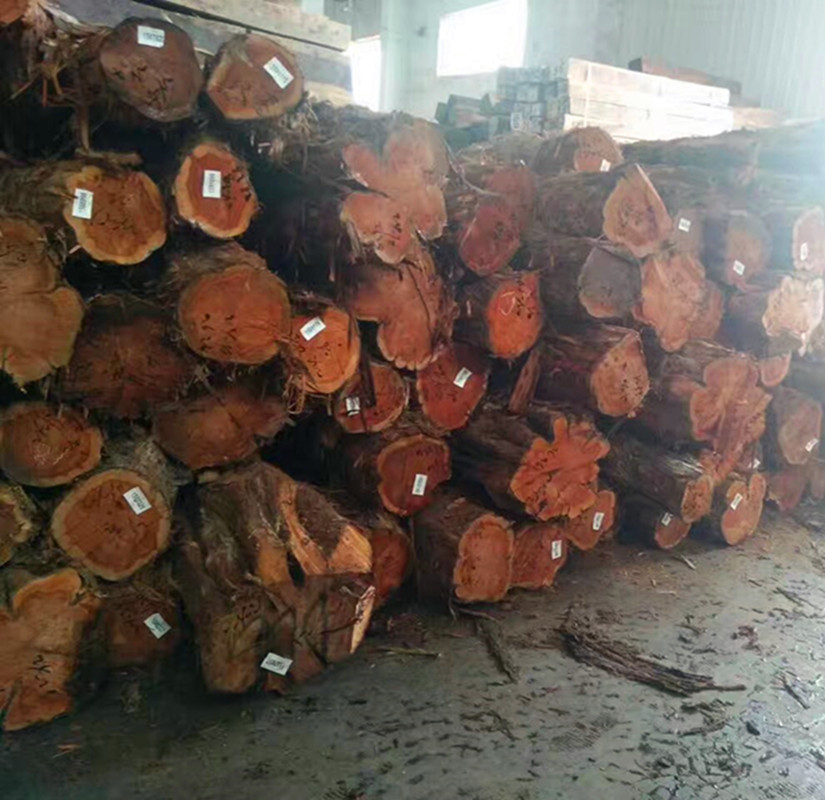 进口红心柏木原木 美国红心柏木 南美黄柏木 厂家直供 一手货源