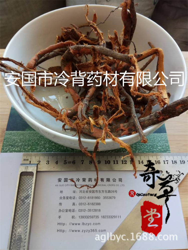 中药材李根白皮 甘李根白皮 李根皮1000g量大从优