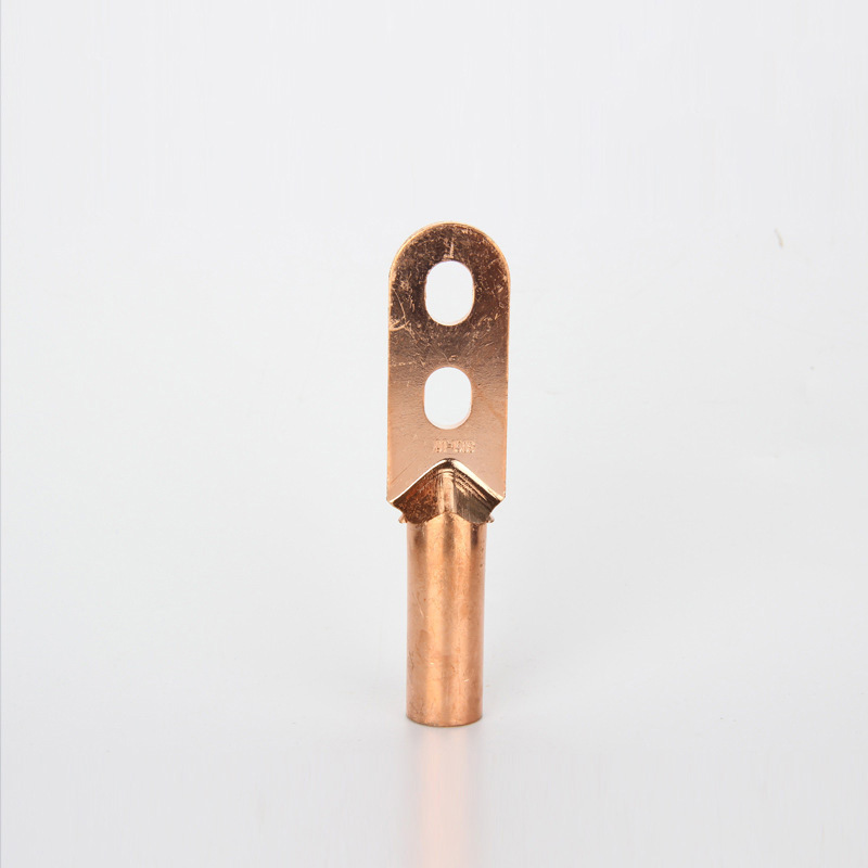 铜双孔鼻 dt-s双孔铜鼻子 双孔堵油鼻 双孔线耳 批发电力金具