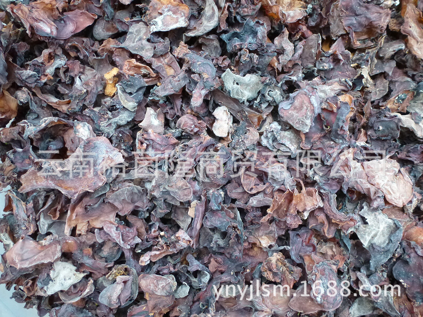 【裕菌隆】 木耳 干红木耳 野生菌水红木耳 产地直销 大货批发