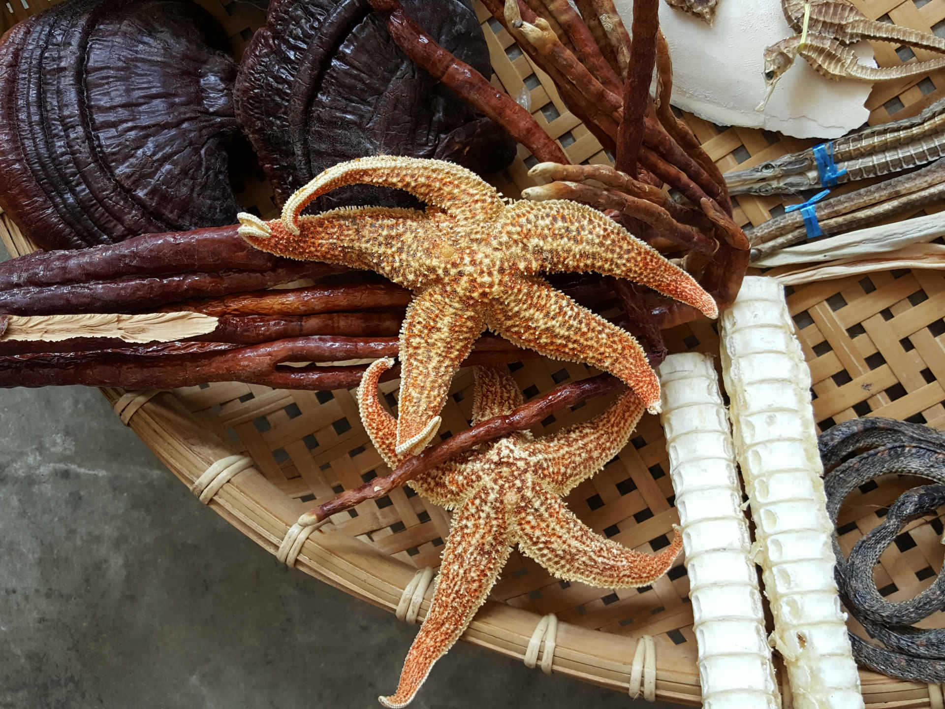 阿里巴巴批发北海海宝中药养生泡酒产品 齐全海产品1000g/包