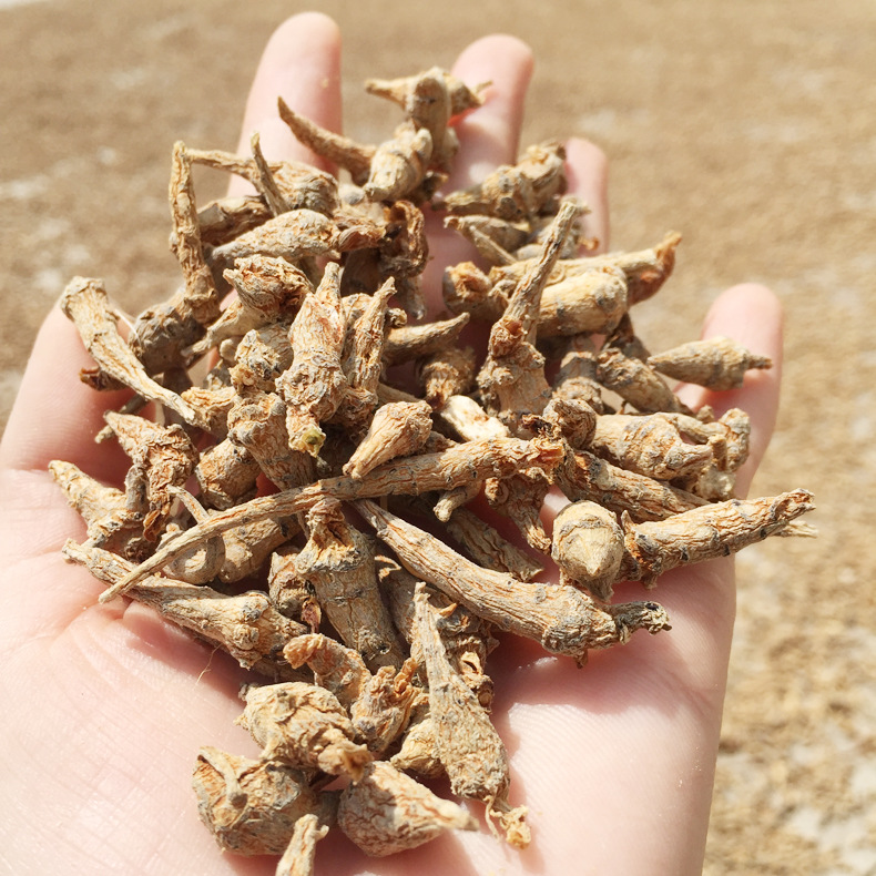 云南文山三七 无数头三七籽条田七枝条籽 可代打三七细粉产地批发