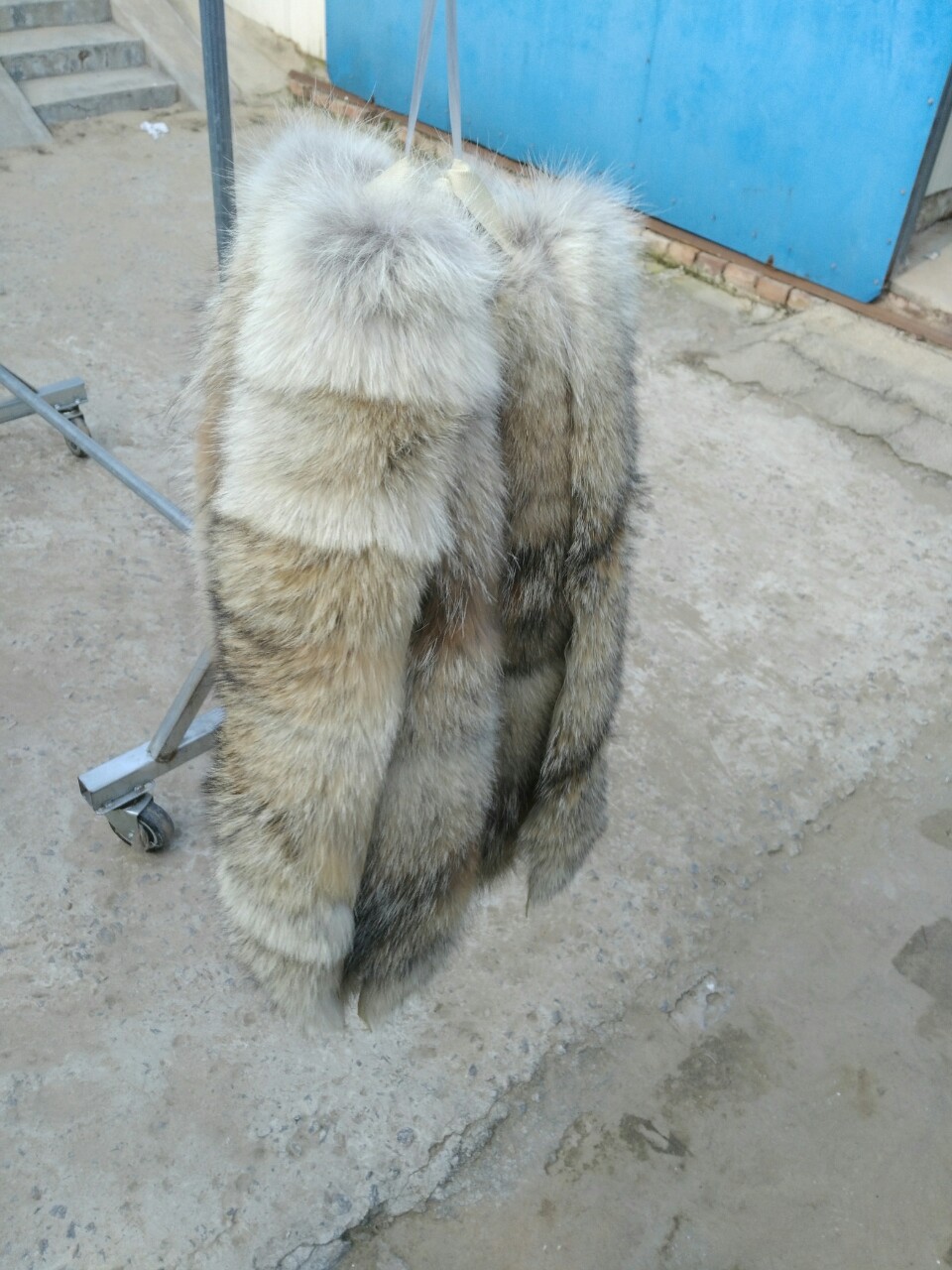 厂家直销仿狼毛毛领大鹅羽绒服狼毛毛领进口郊狼毛领 青狼毛领子