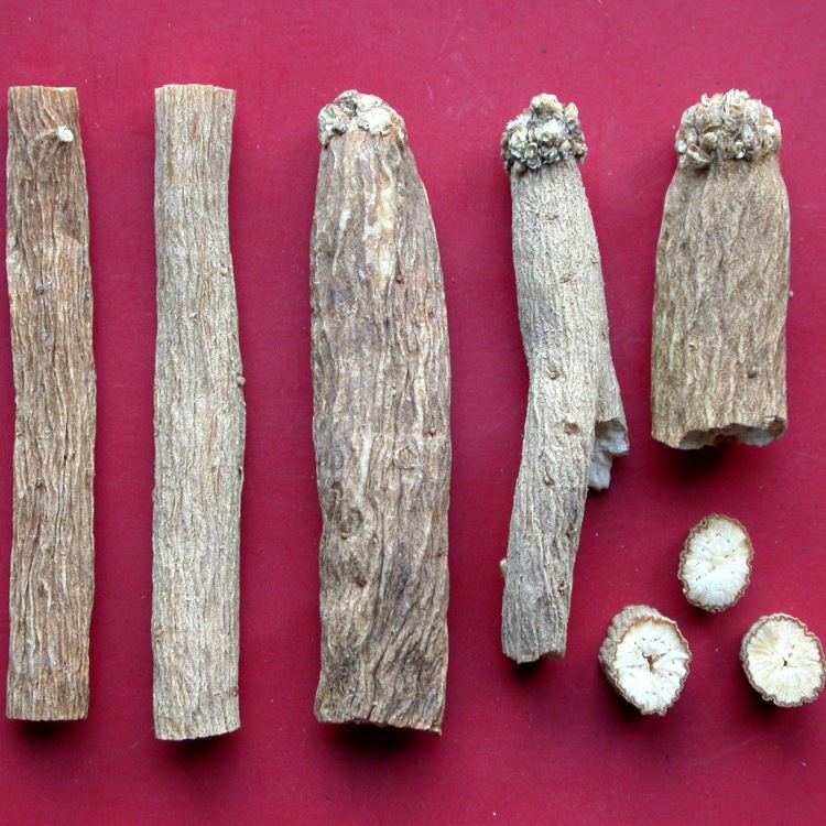 银柴胡粉银胡浓缩粉银柴胡浸膏粉