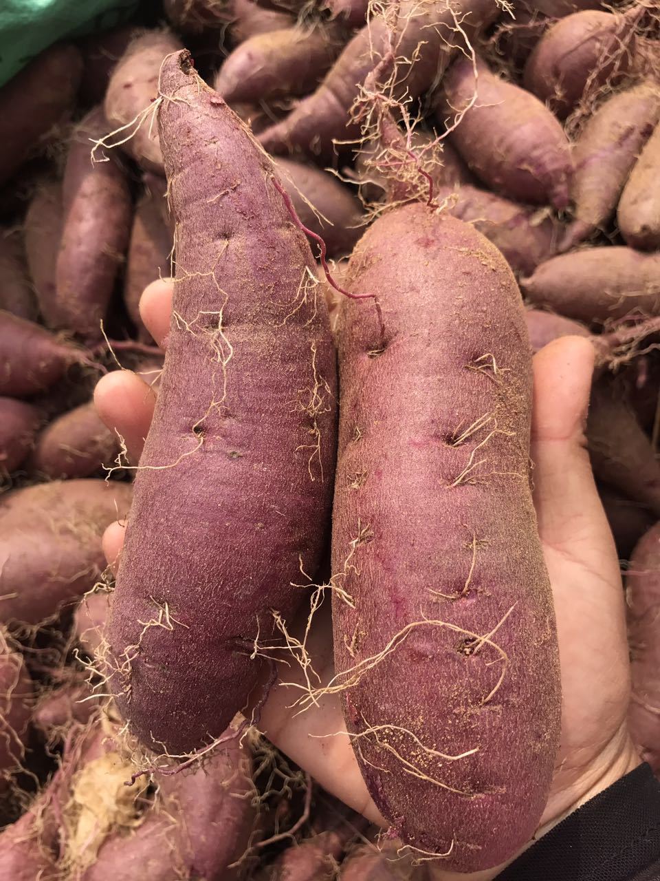 【山东紫薯5斤装】2020新地瓜紫罗兰紫薯甜糯粗粮山东地瓜基地.