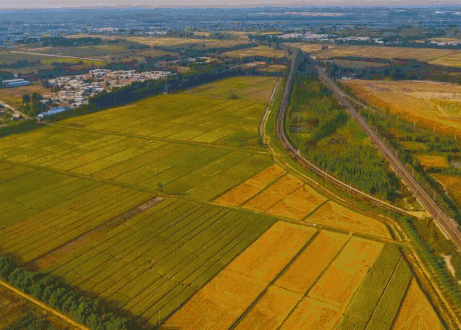 农科谷工厂直销价改良酸性板结污染盐碱地微生物土壤改良剂耕地灵