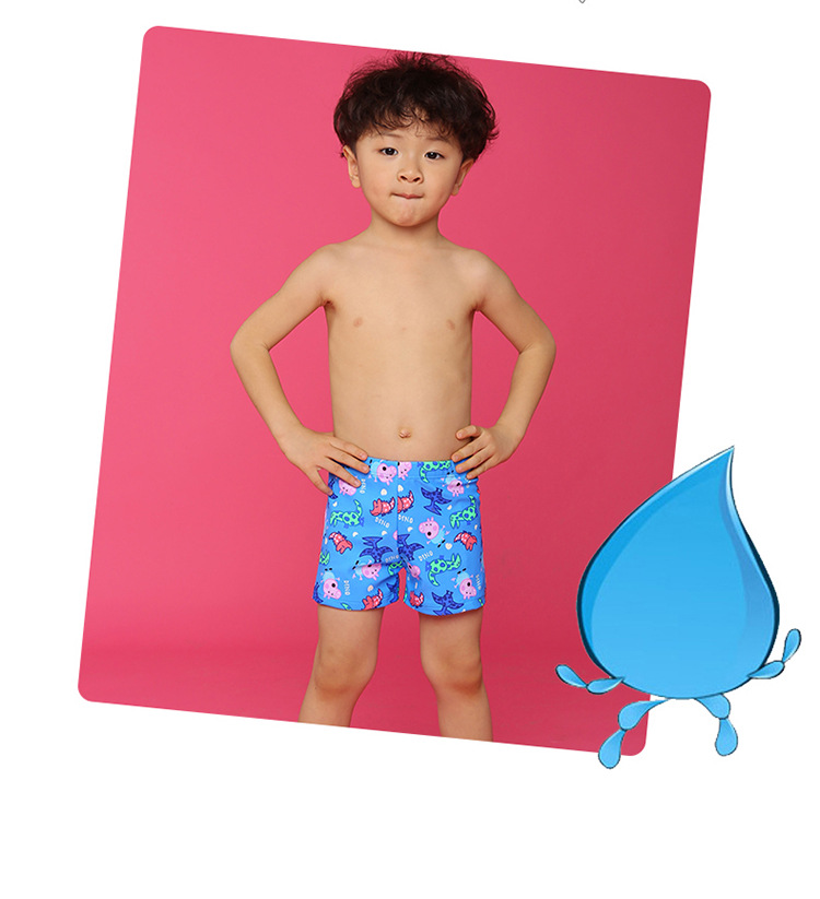 2018夏季新款儿童泳衣 男童泳裤bikini比基尼批发 一件代发