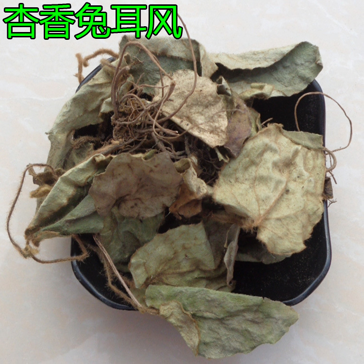 中药材兔耳风杏香兔耳风兔耳草朝天一支香扑地金钟