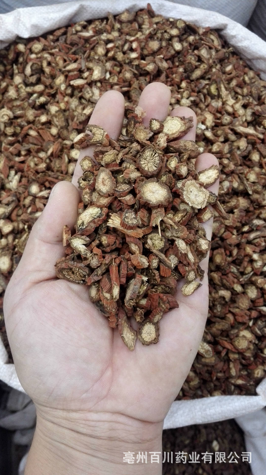 百川药业 丹参 选装 紫丹参 正品山东 15日之内无条件退换