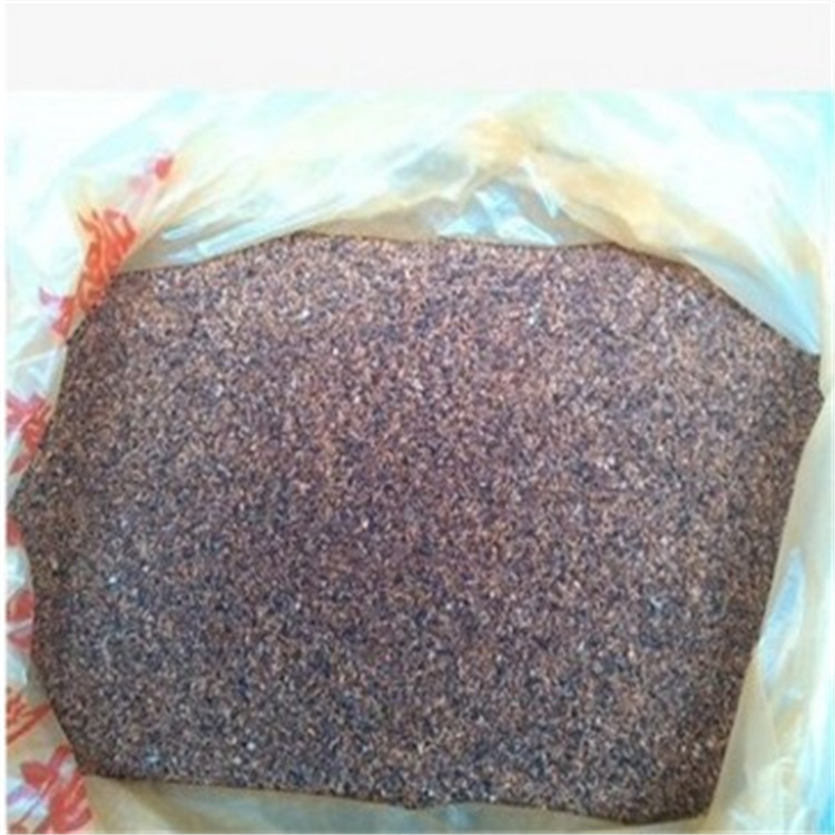 批发桉树种子尾叶巨桉蓝桉杏仁桉澳大利亚大小叶桉速生桉树种子