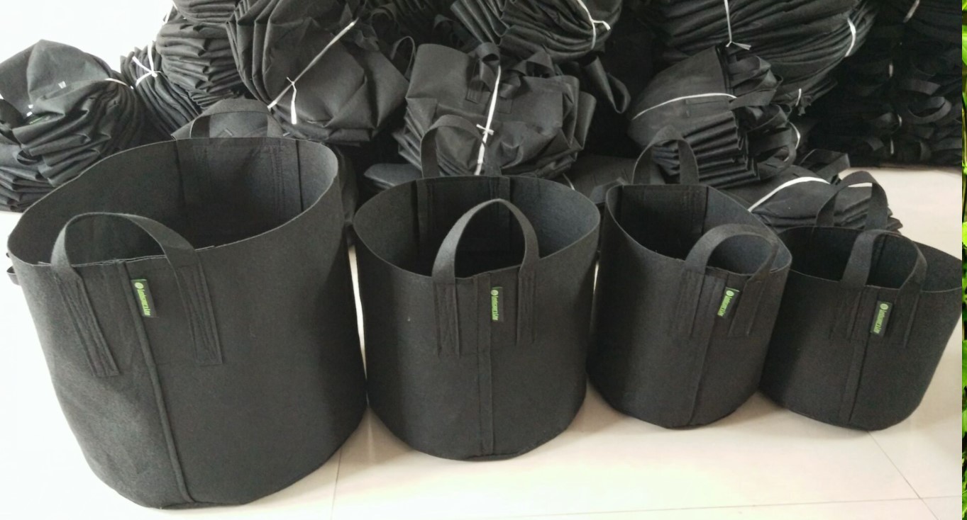 厂家批发 无纺布袋 美植袋 环保园林种植袋 可移动植物桶 室内植