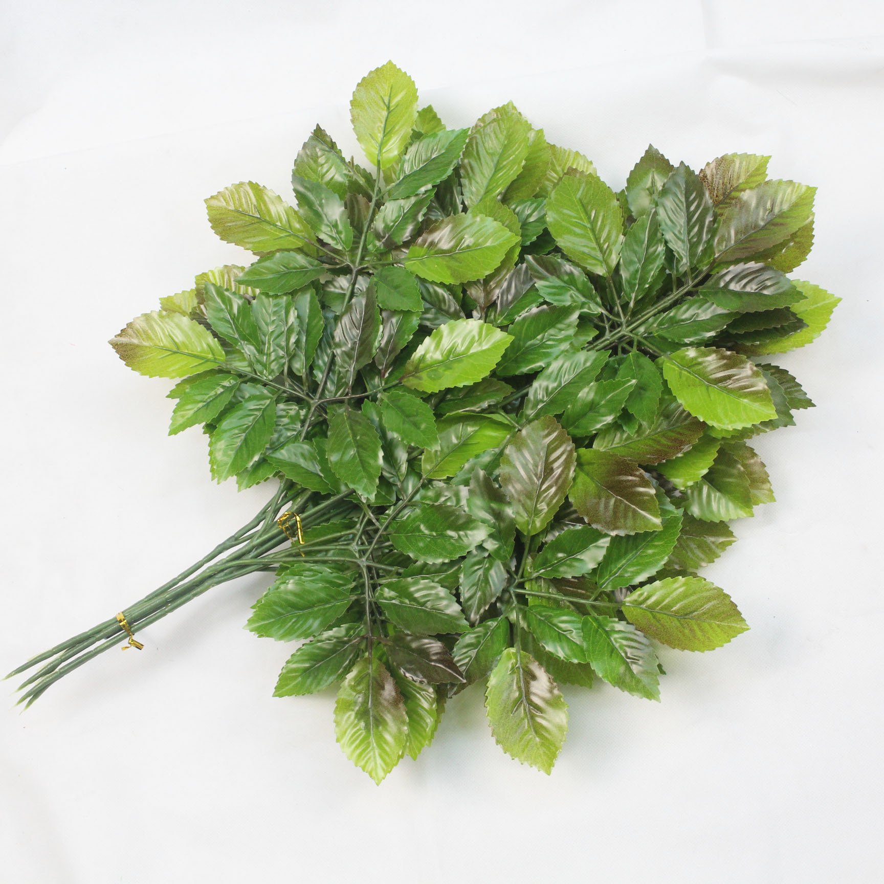 仿真榆树叶 仿真金钱叶园林假树叶假榆树 榆钱叶绿植女儿木批发