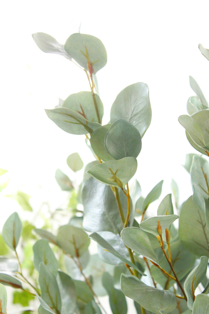 仿真植物桉树叶厂家批发假花尤加利高档叶材金钱叶家居装饰