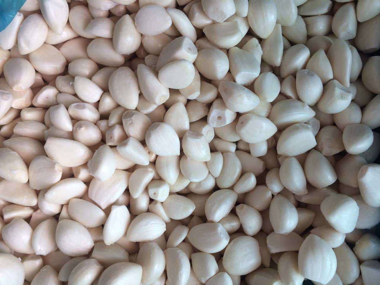 新季节速冻冷冻蒜米 蒜丁 蒜泥