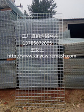 厂家供应 舒乐板网 地暖网片 镀锌焊接网  pvc电焊网片