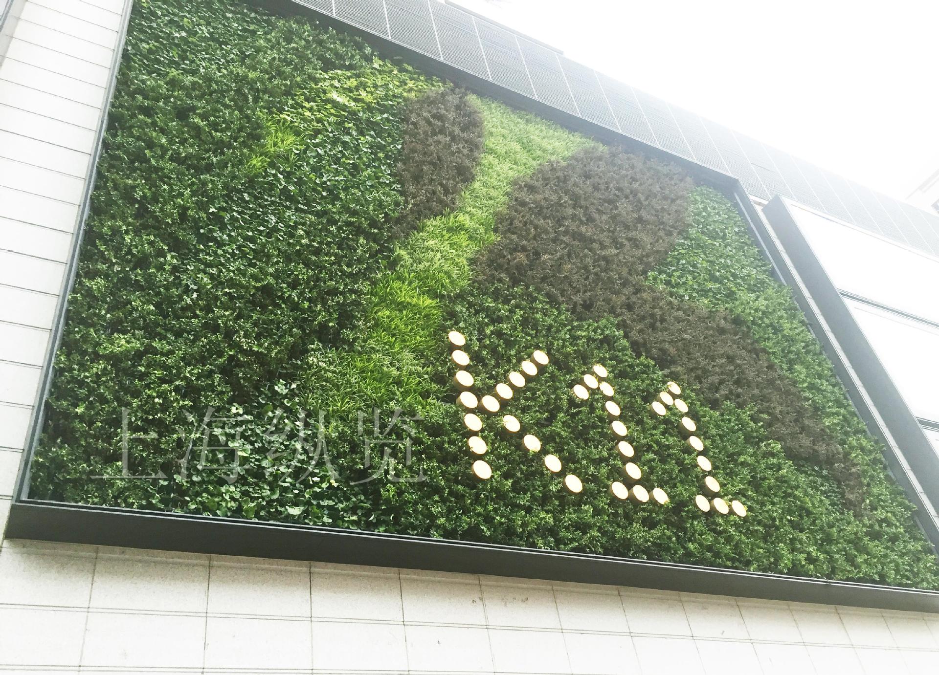 采用自循环纯净模块系统的植物墙