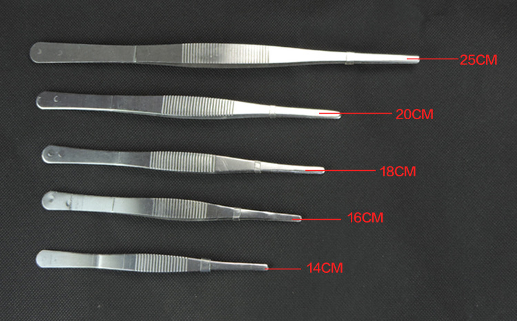 兽医长镊子 304不锈钢镊子 有牙圆头镊子 医用镊子 有齿镊子工具