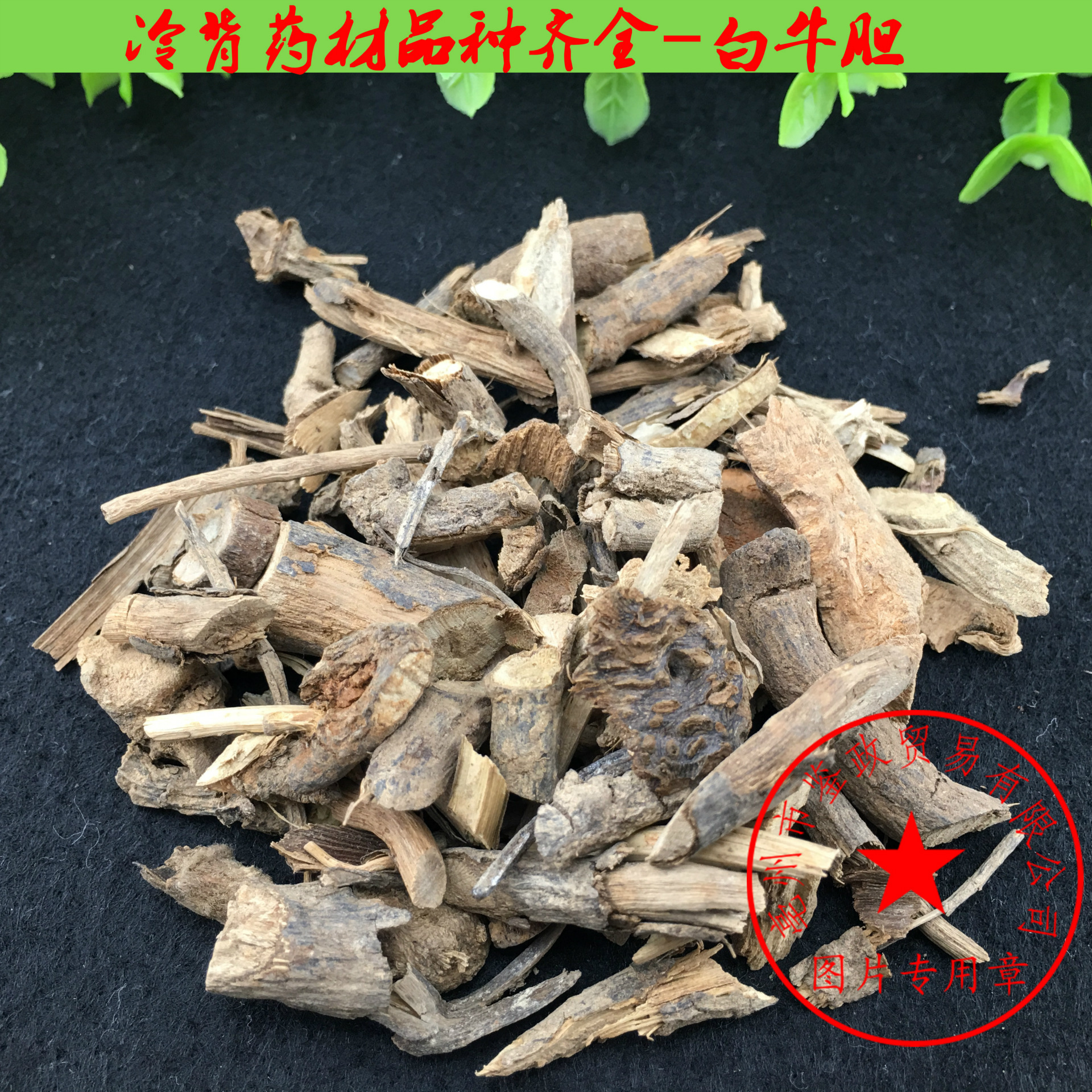 中药材批发 白牛胆 白羊风 羊耳菊 山白芷白背风