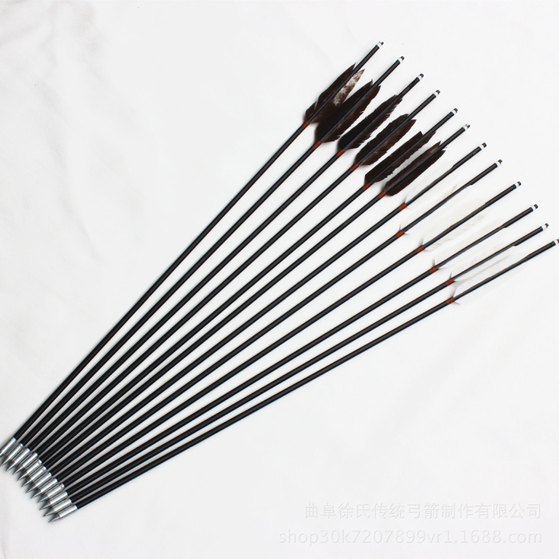 加急单2022春野战狼弹弓野战狼战猎鹰闪龙龙胆弹弓招商