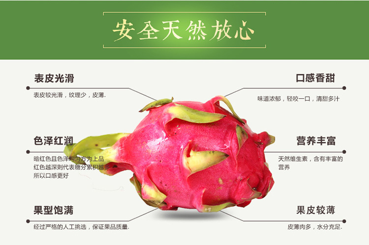 海南澄迈特产红心火龙果 海南新鲜火龙果批发 产地供应空运货运