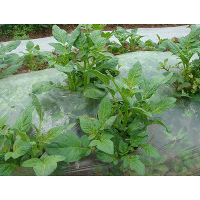 佛山厂家专业生产环保可降解地膜草莓膜温室棚膜价格优惠来样定制
