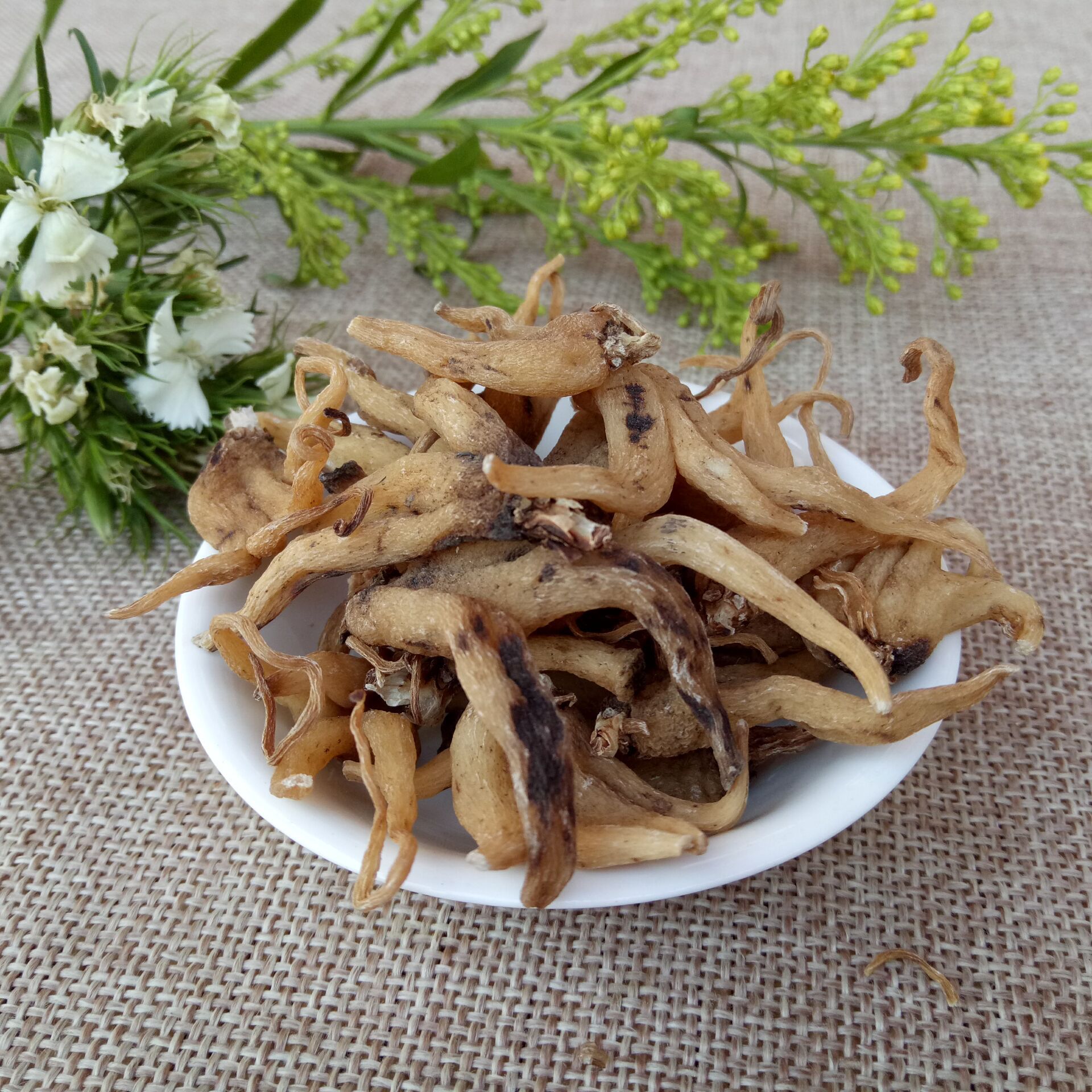 常富中药材 手掌参 佛手参 货干无杂 提供大量现货 价格优惠