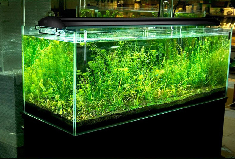 奥德赛t5四灯led水草灯 生态鱼缸 节能鱼缸灯造景金鱼灯水族用品