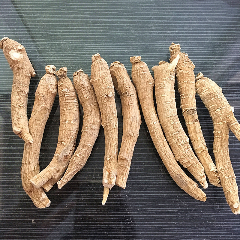 西洋参条 90元一斤起 花旗参 整枝粒头 切片长支参节泡茶