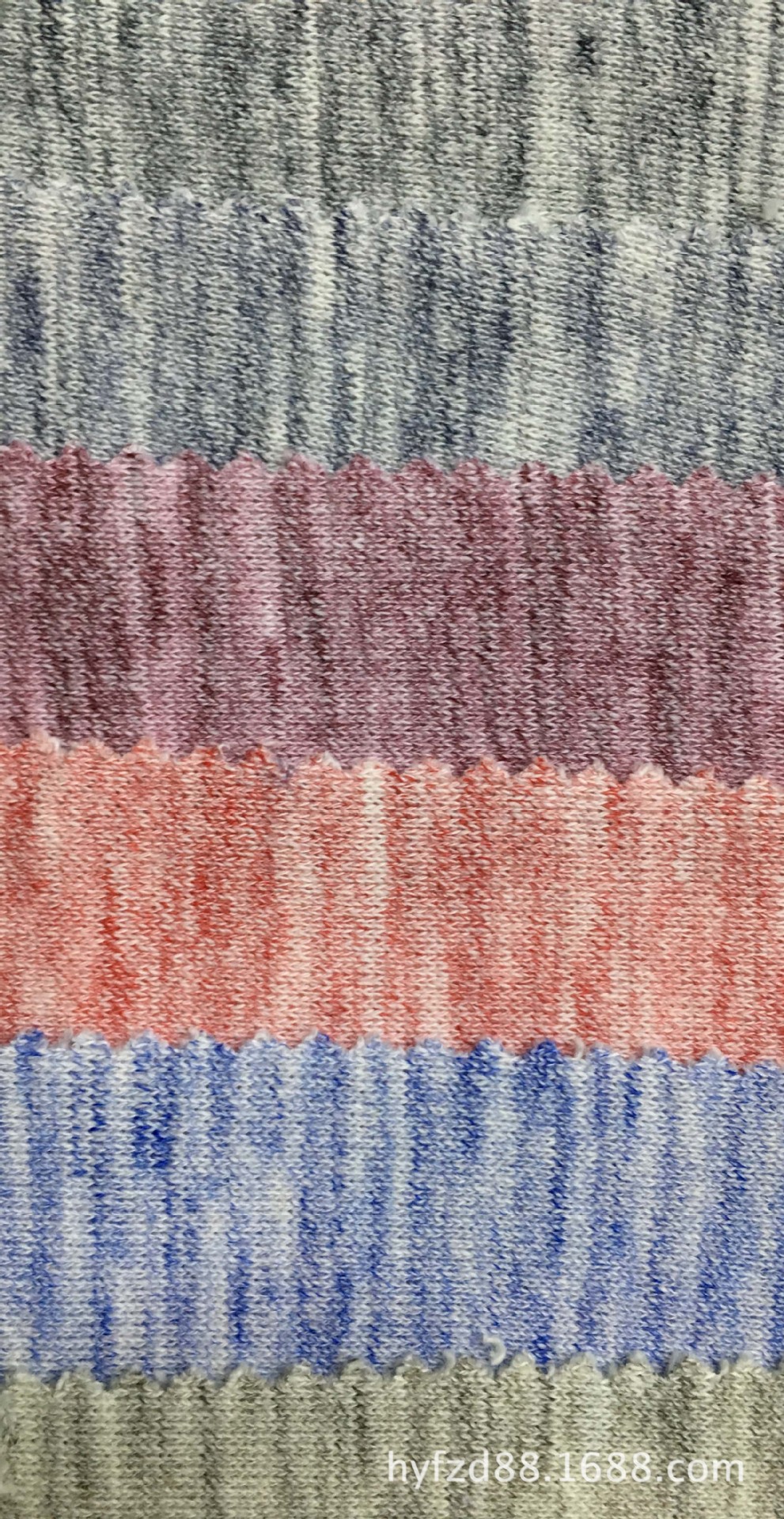 段彩卫衣 厂家 彩棉大毛圈鱼鳞 时装针织面料 布 段彩纱卫衣面料