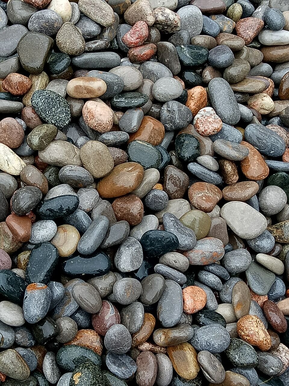 供应各种规格鹅卵石 天然卵石 用于污水处理 铺路 变压器 景观