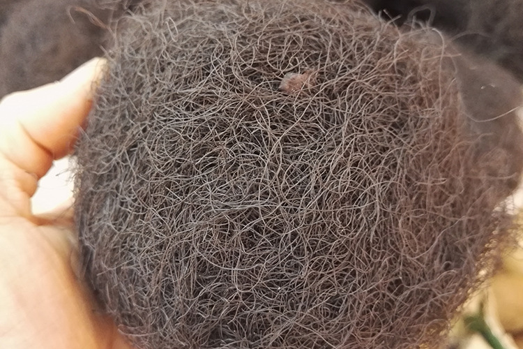 水产干货发菜 优质青海陆地藻发菜 三宝之一发菜产地批发