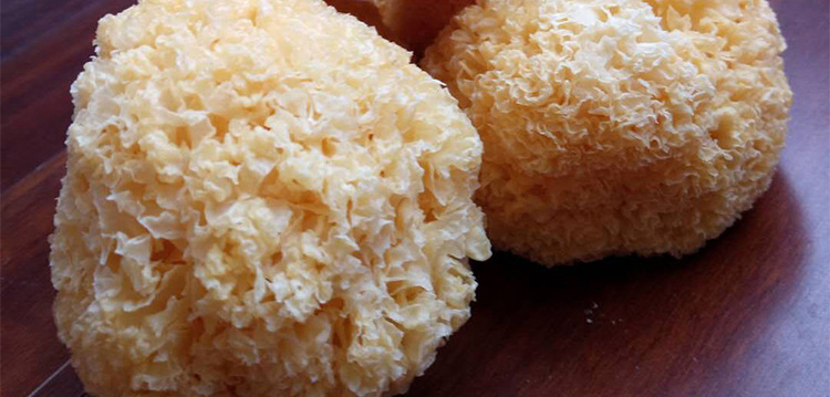 加良源 生产福建密花雪耳银耳食用菌干货批发 食品oem贴牌代加工