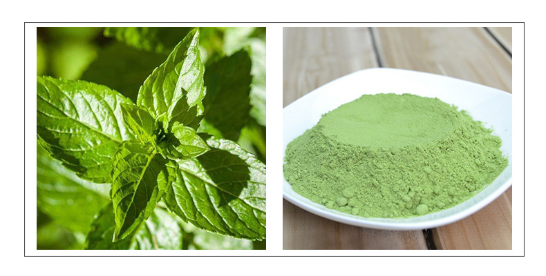 薄荷提取物201薄荷粉现货直销