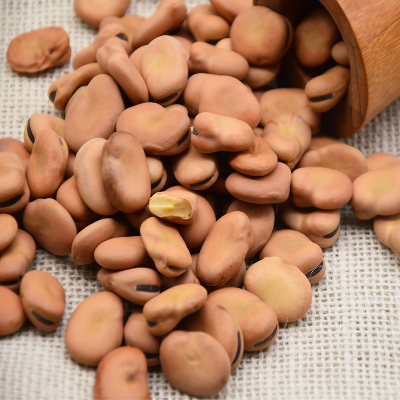 供应生蚕豆兰花豆真空装