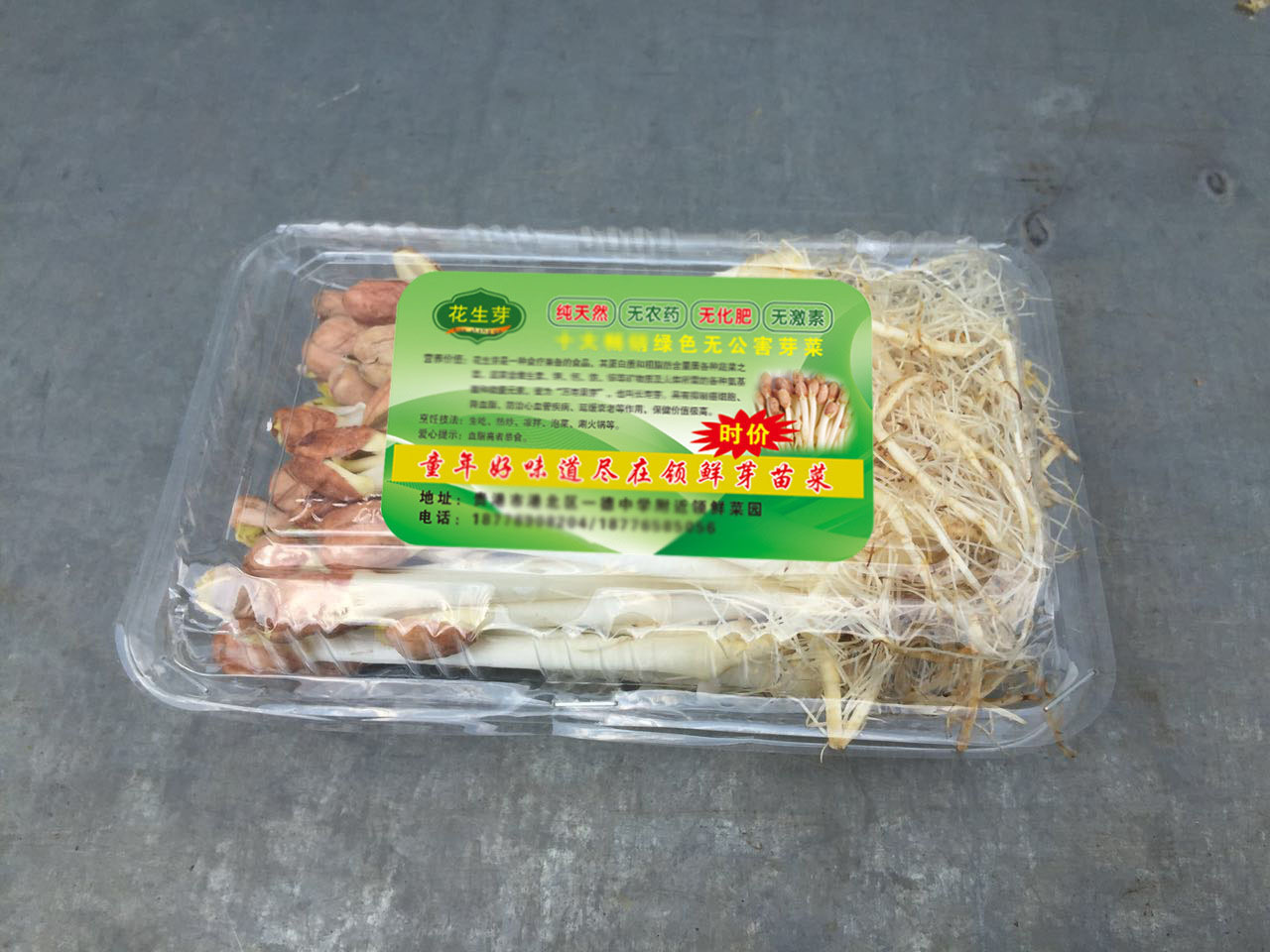 特色商用芽苗菜/ 豌豆苗花生芽专用便捷 透明塑料大号包装盒