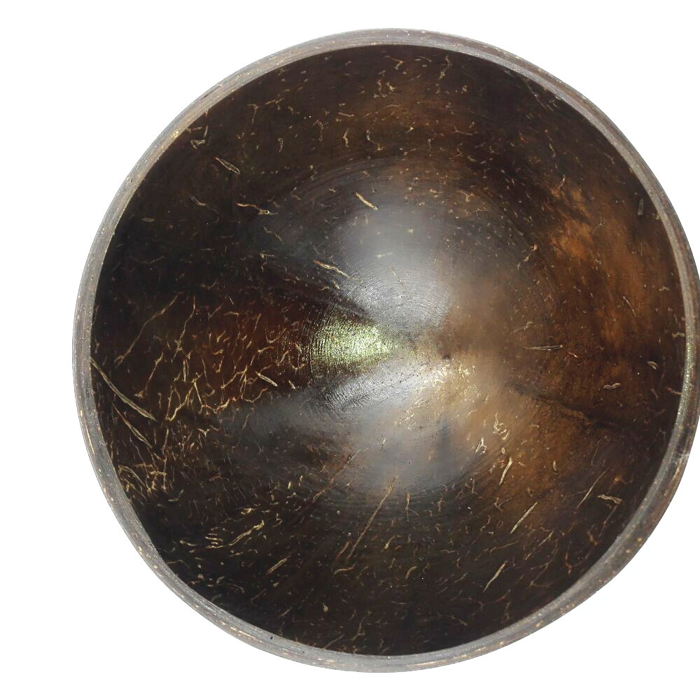 海南椰子壳碗宝宝碗椰壳碗手工儿童成人家庭餐具礼品旅游碗