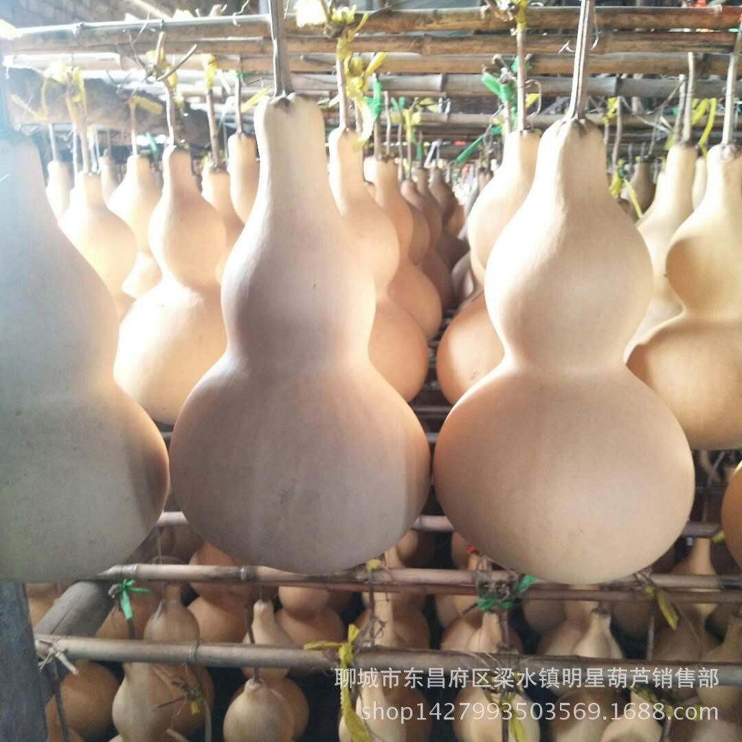 大葫芦 大亚腰素葫芦 大号葫芦摆件批发30-50厘米