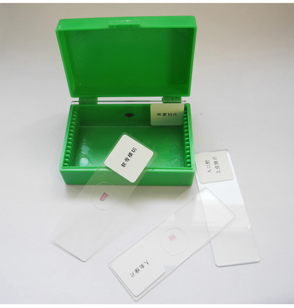 新品推荐 15片装 彩色玻片盒 病理切片盒 厂家直销可多种规格