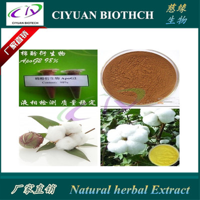 供应棉籽提取物:甲酸棉酚98% gossypol formic acid