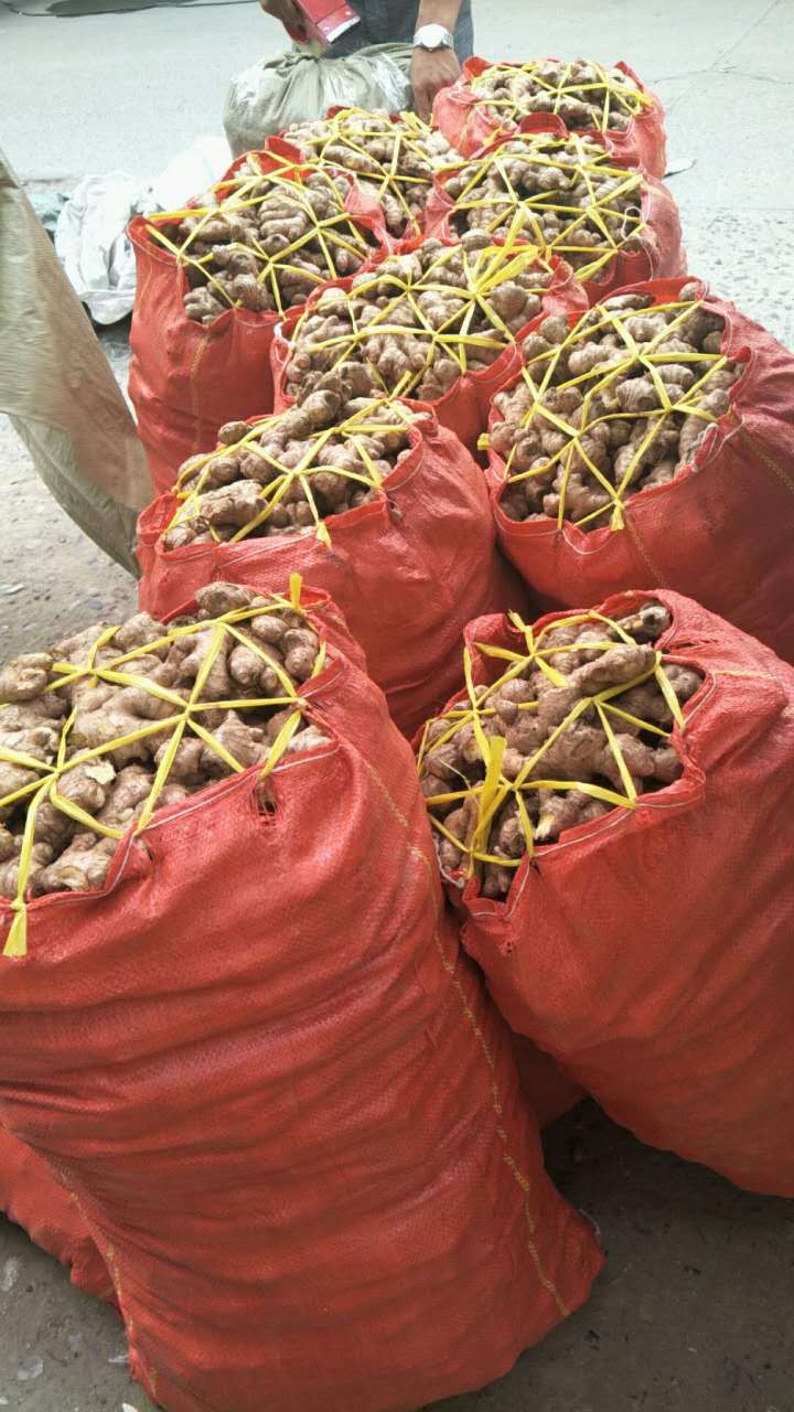 2018年 新鲜生姜特产干姜农家自种小黄姜厂家直销低价批发