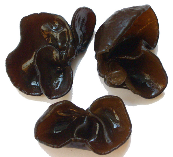 长白山秋木耳,黑耳,中朵,无根,一等地秋耳,泡发比高,营养丰