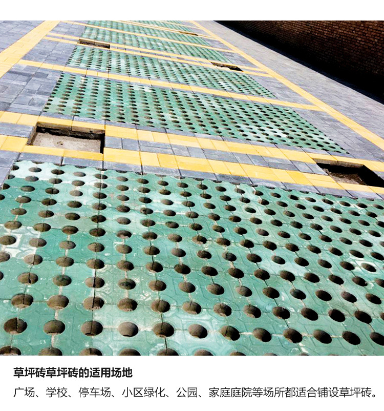 批发绿化透水植草砖 绿色水泥砖 九孔草坪砖 多孔铺路砖多孔砖