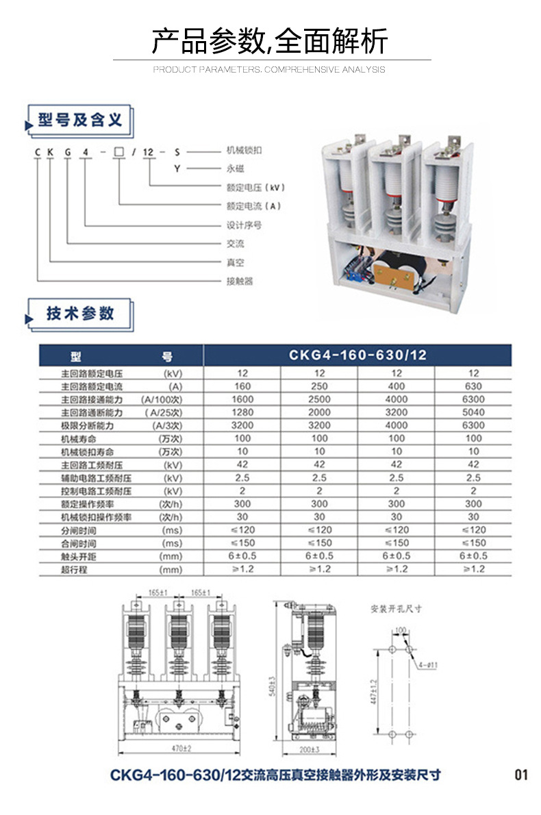 雷一 高压真空接触器 ckg4-12kv/160-250a