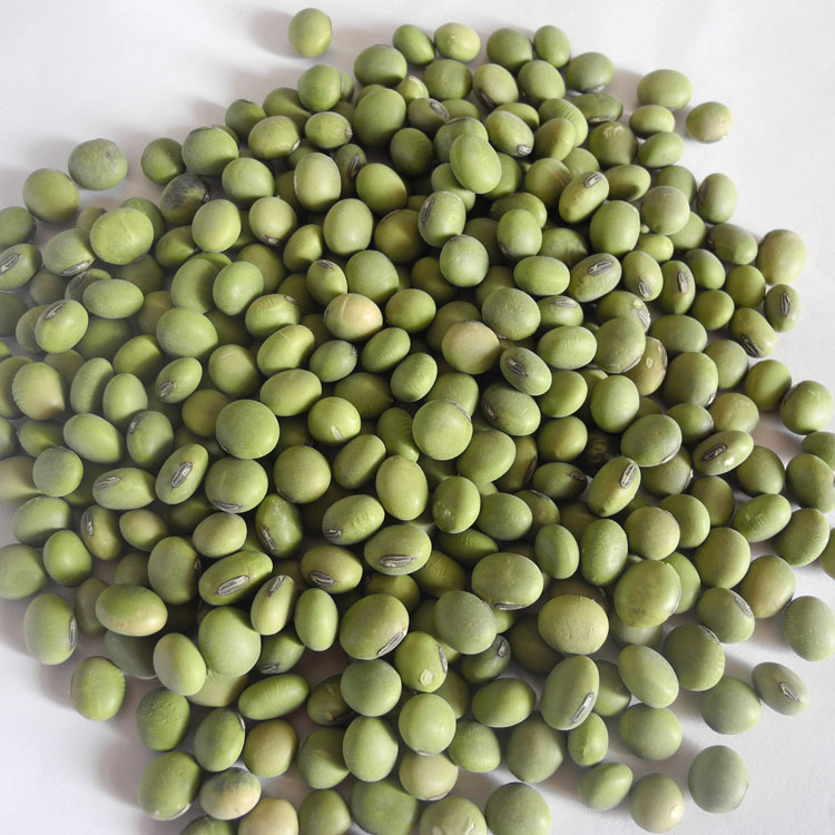 双青豆绿色健康产地直销,2018年新一季黑眉双青豆