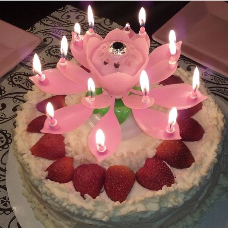 生日开花音乐蜡烛生日14支荷花蜡烛