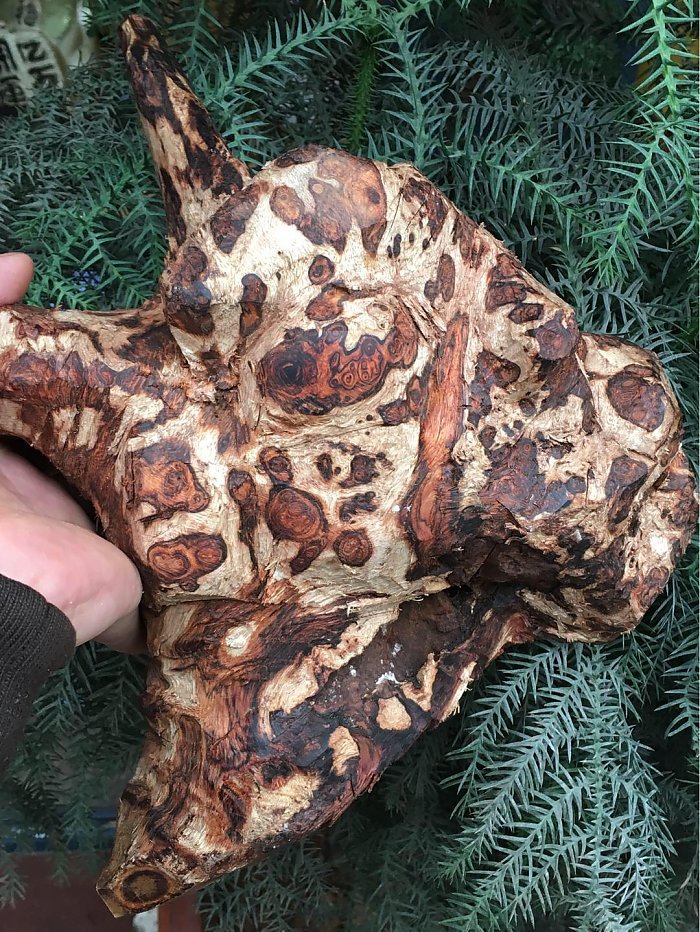 市场疯现降香藤香木冒充海南黄花梨,已有万人上当!望玩家谨慎