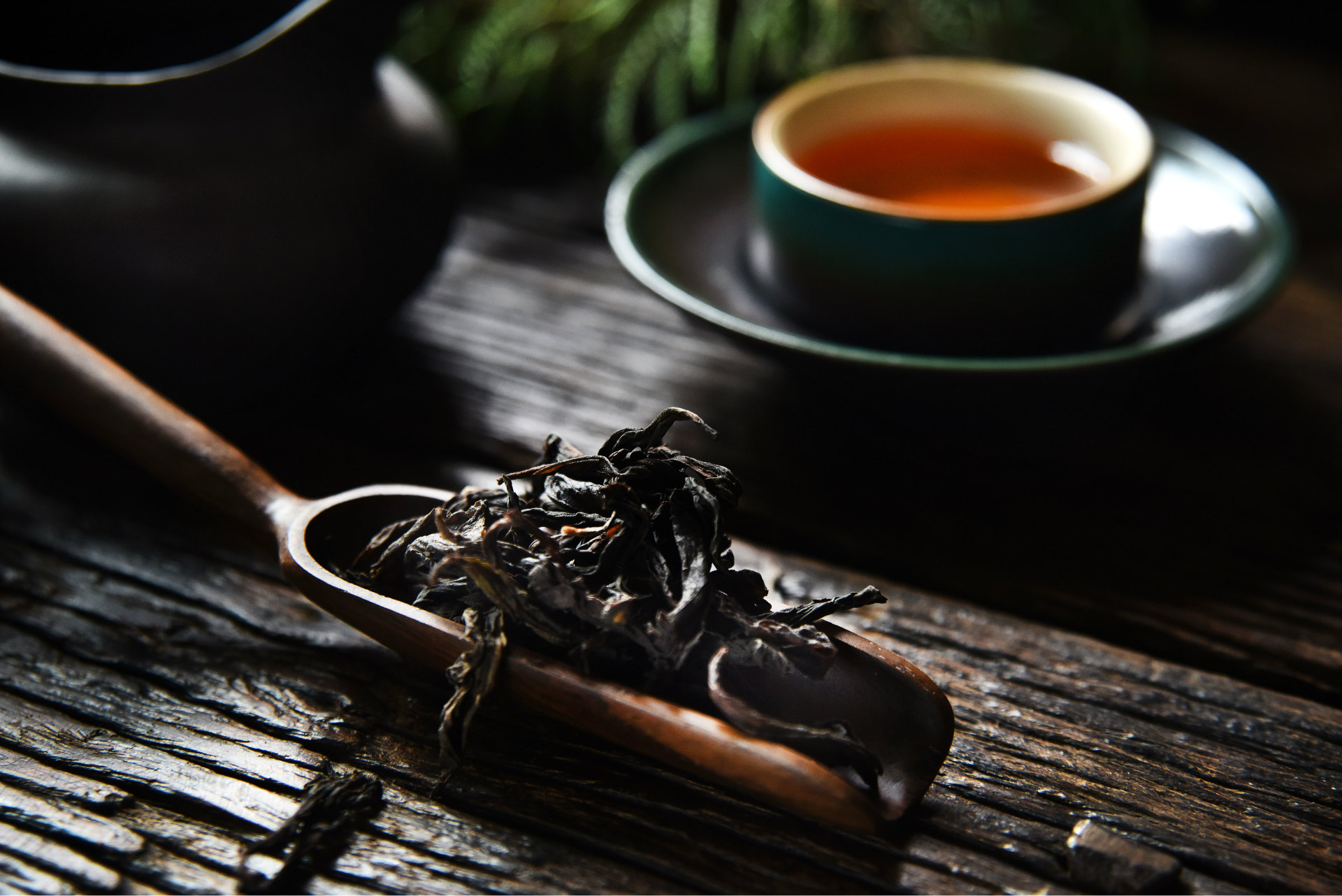 不可不知的武夷岩茶-四大名丛!