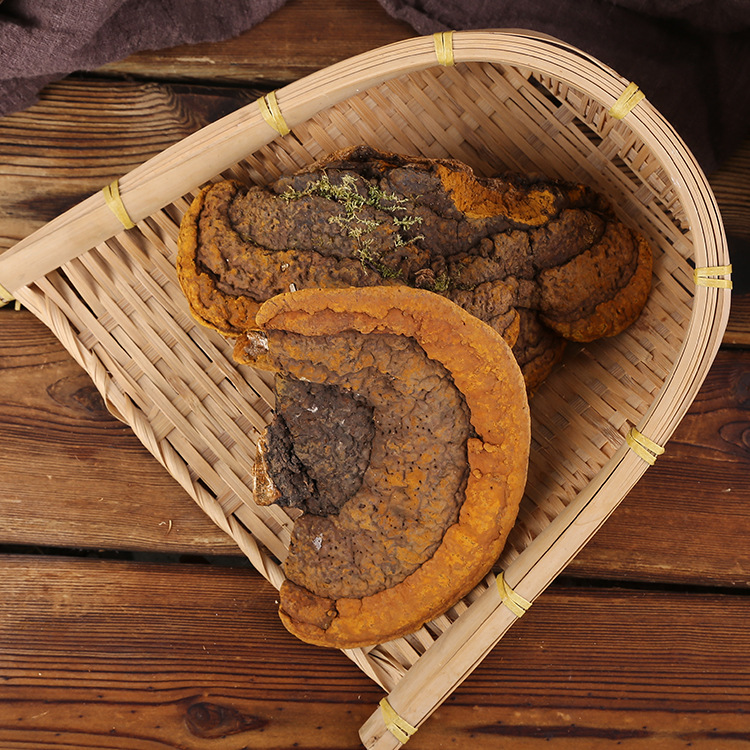 大量批发东北长白山特产杨树黄丰富营养传统补品可煲汤煮粥