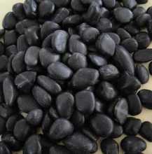 供应厂家批发黑色鹅卵石雨花石主要用于园林景观铺路装饰