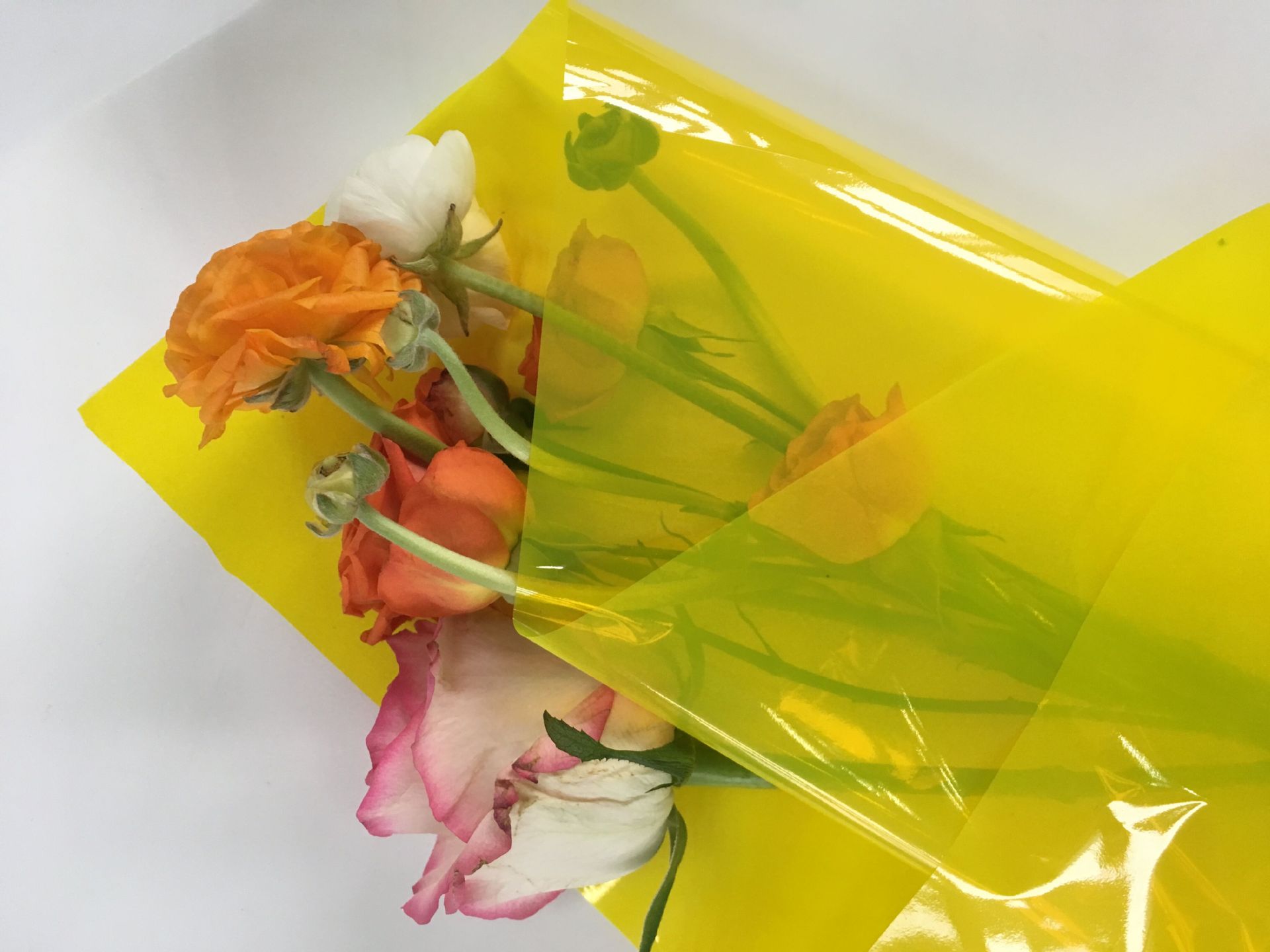 批发彩色包装膜半透明鲜花包装纸 大红 宝蓝 灿黄 鲜花包装纸